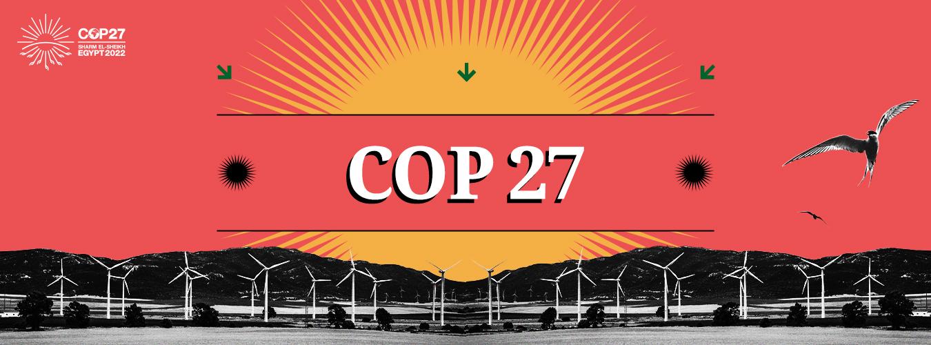 The Zero Fund proposes innovative carbon offsetting infrastructure at COP27